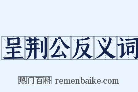 呈荆公反义词是什么意思的图片